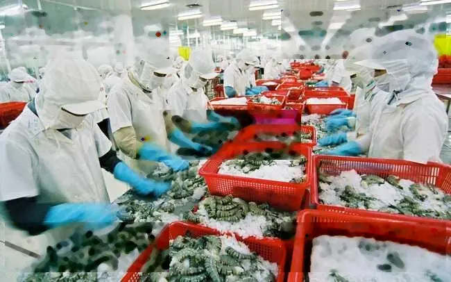 Chính chủ bán nhà máy chế biến thuỷ hải sản đông lạnh Đồng Tháp 31.311m2