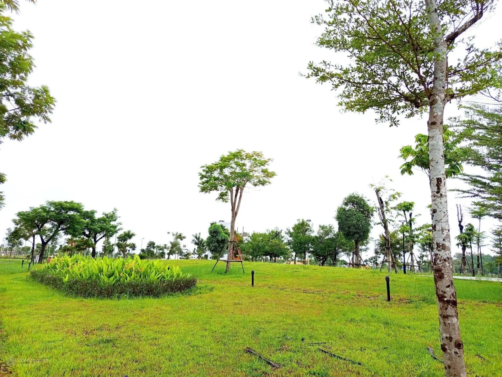 Siêu Phẩm Đất nền Dự Án Phú Mỹ, Vị trí Đẹp Phía Nam Dự án, Đường 17,5m Chiết khấu lớn