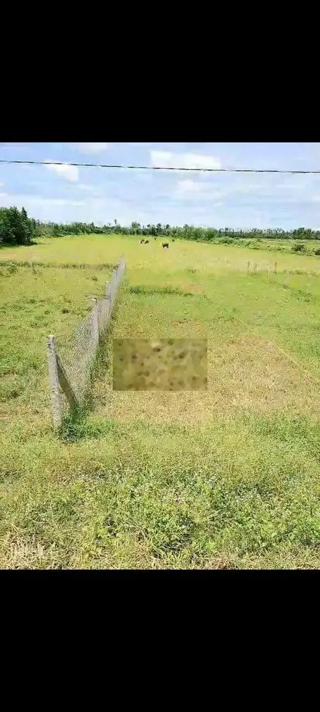 Cần bán gấp