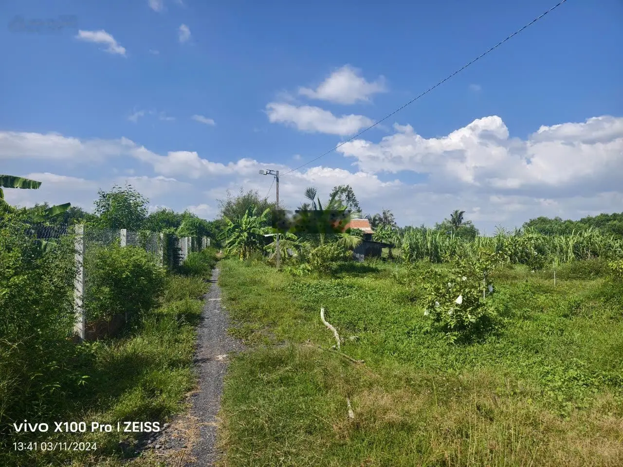 Siêu phẩm siêu rẻ: nhà vườn 5.000 m2...đang trồng ổi, dừa, sầu riêng Đức Hòa, Long An, giá ko tưởng