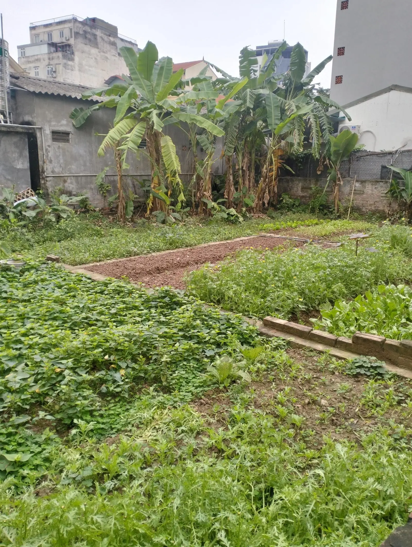 Bán gấp nhà mặt phố Đường Bát Khối, Long Biên, Hà Nội, 18,5 tỷ, 122m2 đẹp, nhiều tiện ích