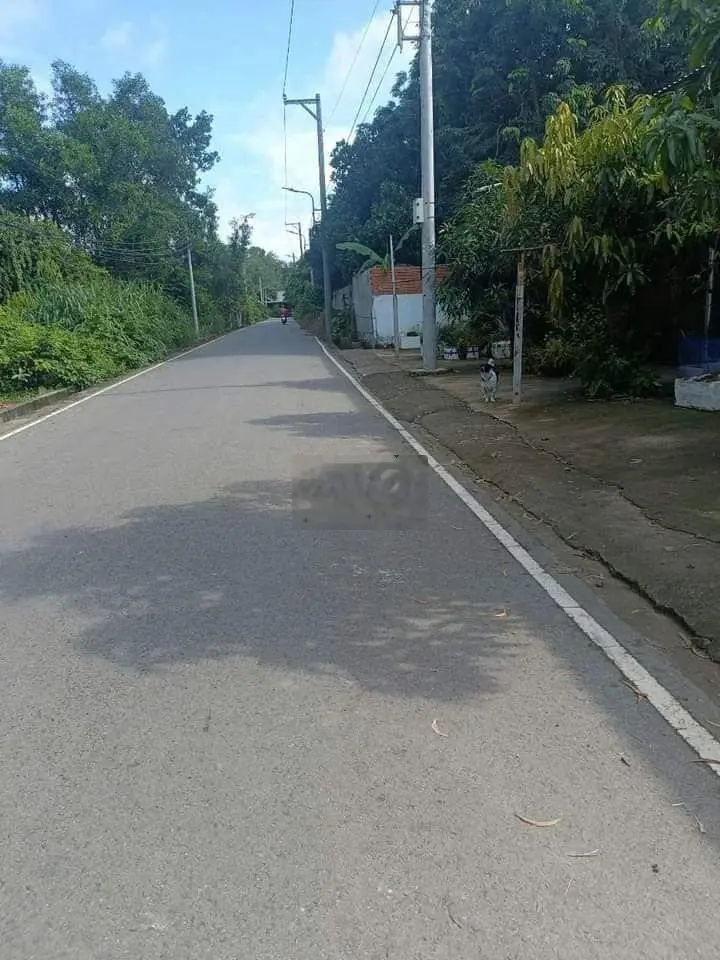 CHỦ NGỢP ĐẤT BÁN RẺ, Đường An Tây 80,Phường An Tây, Bến Cát, Chỉ 780tr