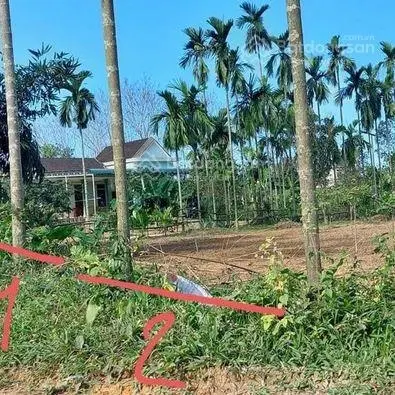 Chính chủ cần bán lô đất 170m2 - huyện Phong Điền - Huế giảm 750 triệu còn 699 triệu