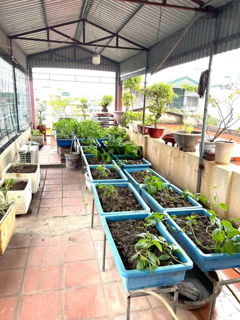 Chính chủ bán nhà mặt phố 70m2 trung tâm thành phố Hải Dương, 20m ra hồ Bạch Đằng