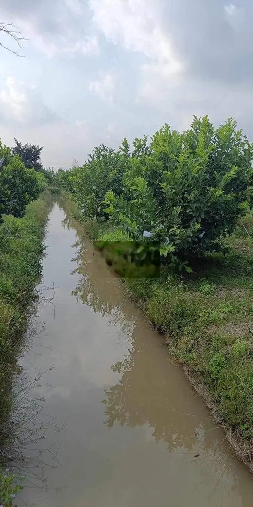 Bán đất mặt tiền đường