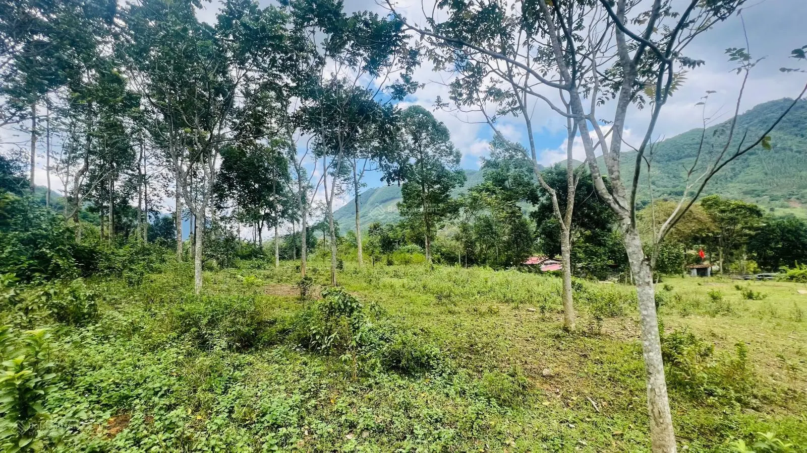 Lô đất đẹp cho nhà đầu tư tại thị trấn Đà Bắc - HB