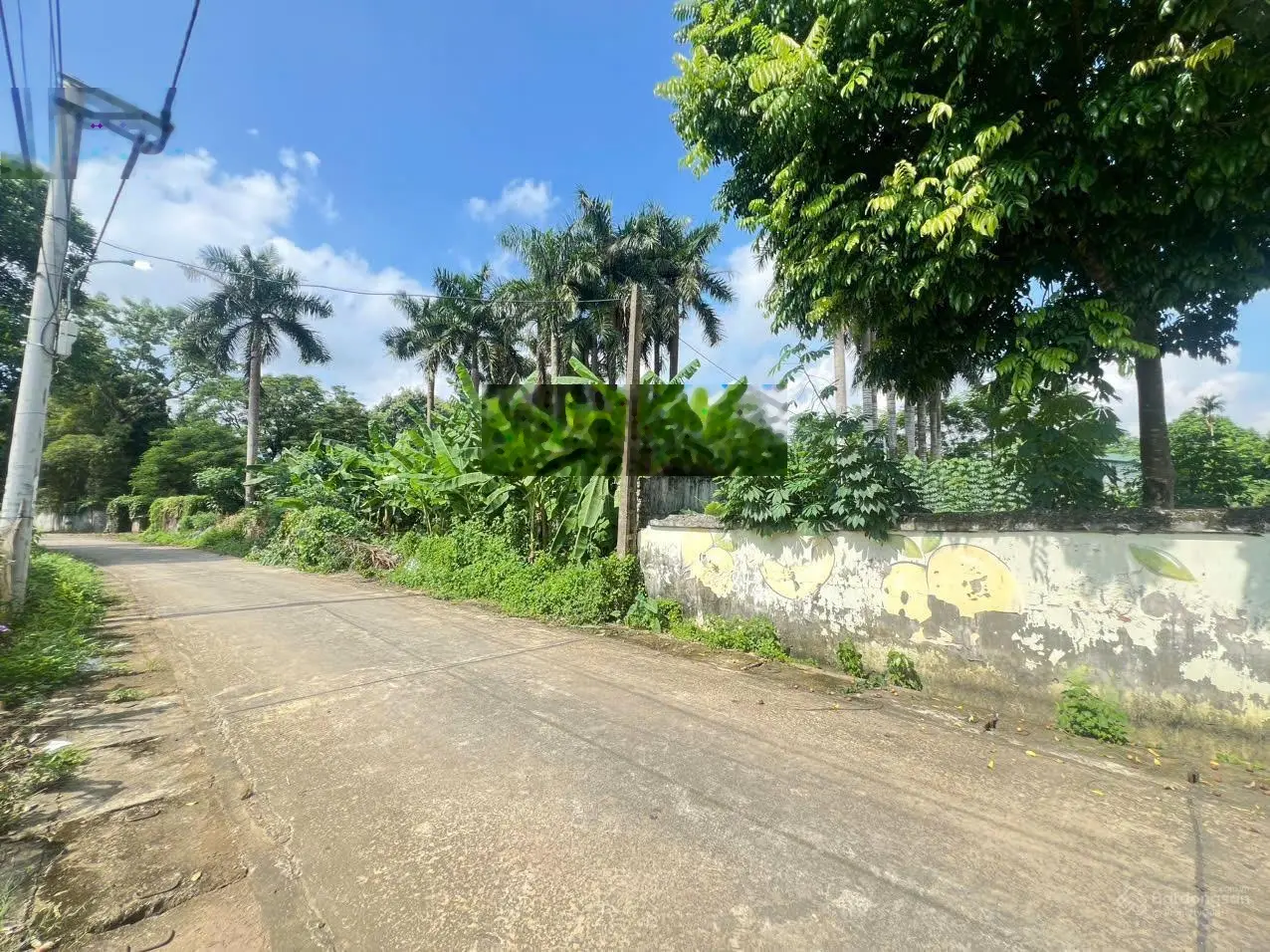 Bán 100m2 full thổ trục chính Đồng Vàng, Phú Mãn, Quốc Oai, Hòa Lạc, Hà Nội giá 1,85 tỷ
