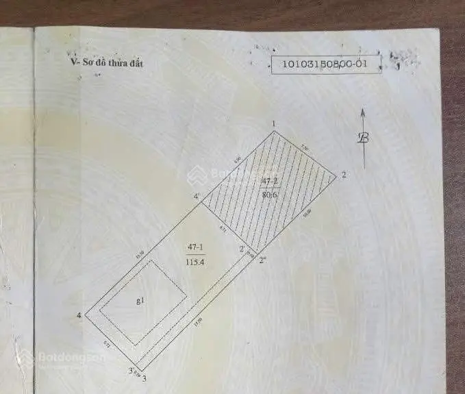 Bán biệt Thự Tây Hồ-ô tô vào nhà- 115,5m- mặt tiền 6,8m. Sổ vuông đẹp. Giá tốt nhất khu vực.