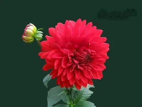 Lô đất diện tích khủng - nhanh tay mua để đầu tư