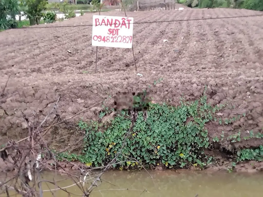 Bán Đất