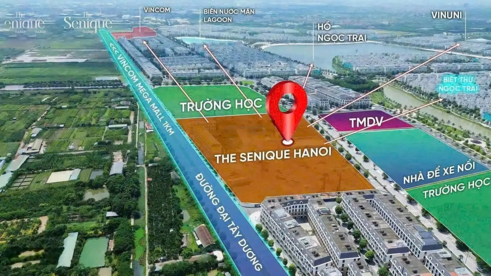 Dự án Senique phát triển bởi CĐT Capitalland tại Vin Ocean park 1 chính thức ra mắt