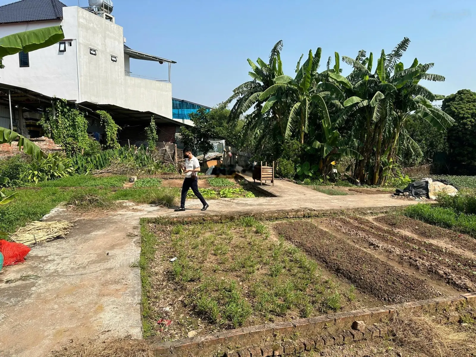 40m thị trấn Phúc Thọ đối diện Huyện ủy giá chỉ vài trăm triệu