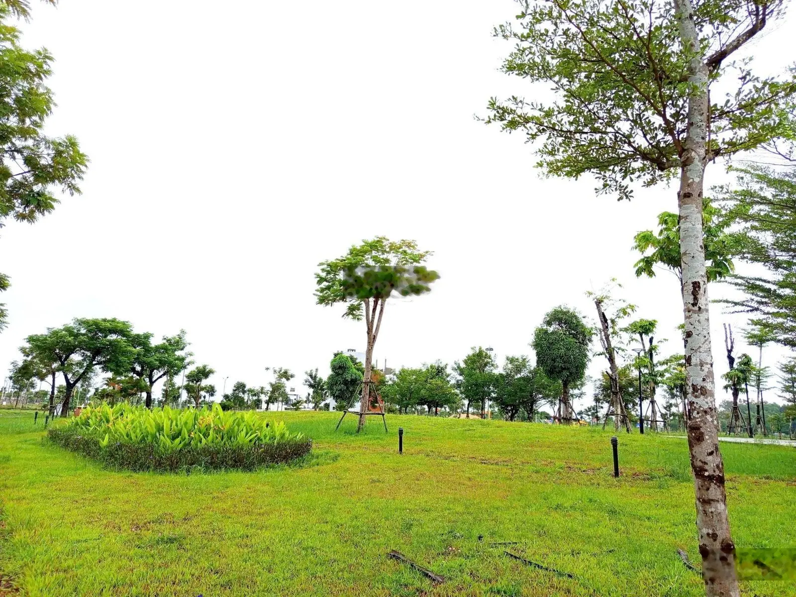 Bán Đất KĐT Phú Mỹ, Đối Diện Trường Mầm Non, Vị Trí Đẹp Giá Tốt, LH làm việc chính chủ