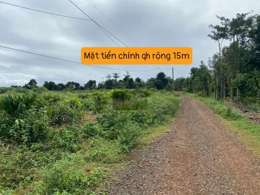 Đất thổ cư tại Ea Sien - Thị Xã Buôn Hồ 239tr