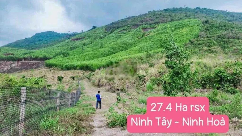 10 tỷ sở hữu 27.4ha làm du lịch Nông Nghiệp, Sinh Thái tại Ninh Tây