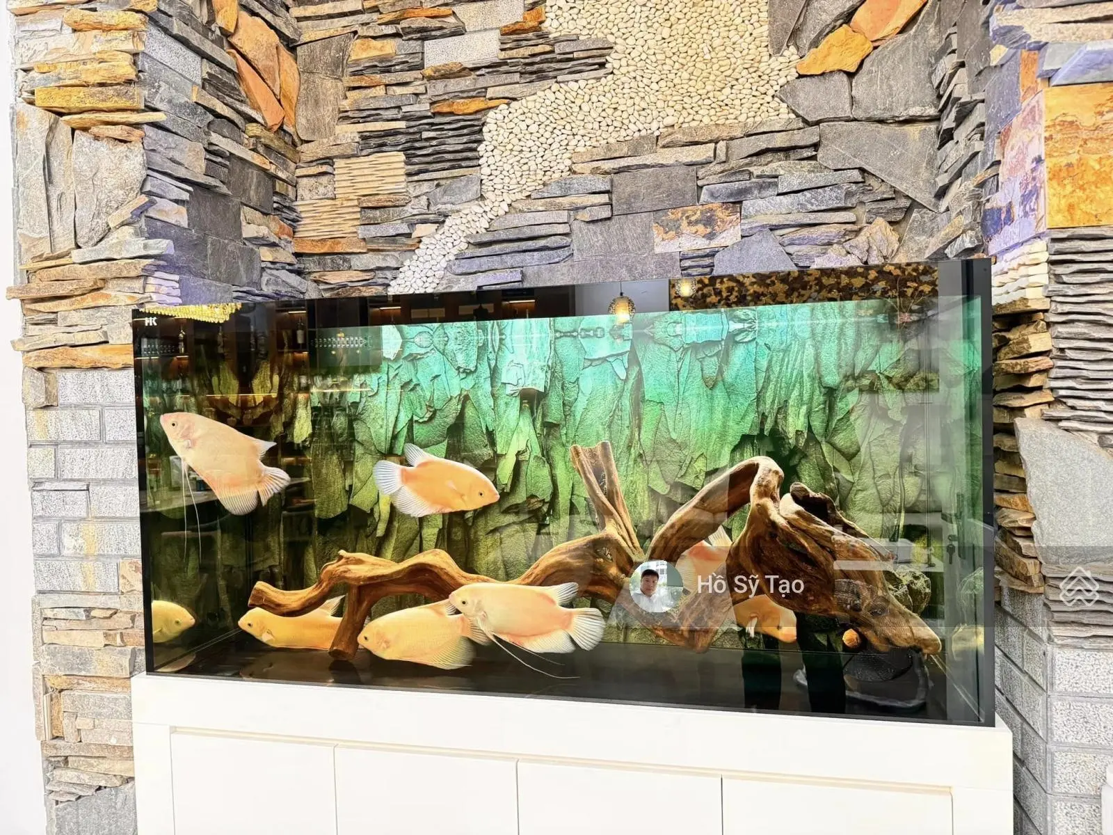 Bán nhà đẹp phân lô đường Trần Quốc Hoàn - Cầu Giấy. Diện tích 82,8m2xMT5,41mx4T. Giá chào 21,46 tỷ