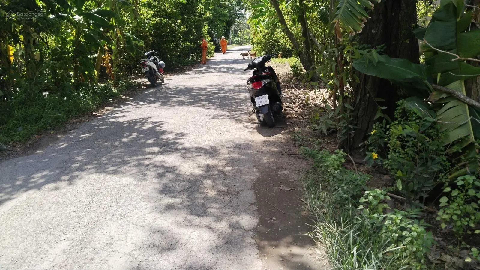 Nhà mới giá rẻ, 378m2 mặt tiền đường nhựa, Mỹ Thạnh An, TP Bến Tre