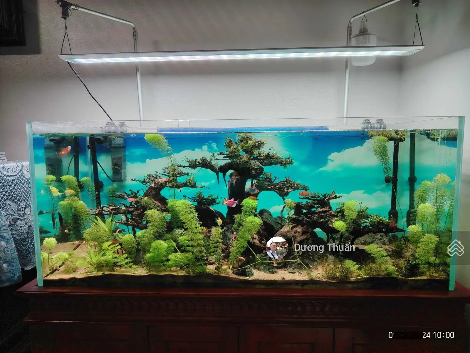 Biệt thự, khu tái định cư xã Kiêu Kỵ, view vườn hoa, vỉa hè, Ô tô tránh, gara 180m2 4T, nhỉnh 14 tỷ