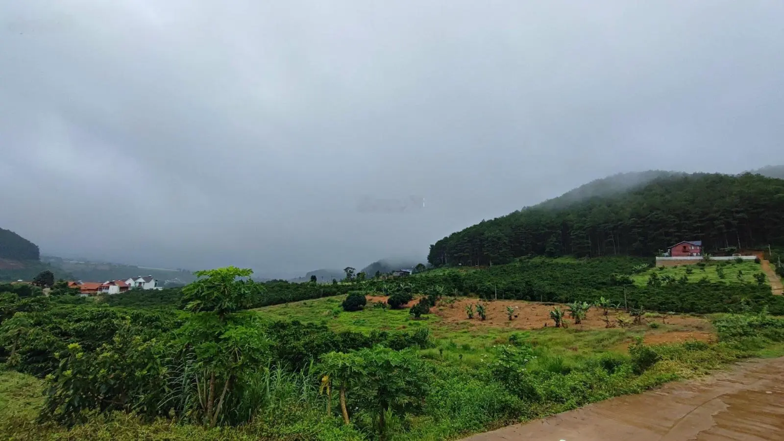 Bán lô đất cách trục 725 chỉ 600 m view thông TT xã Mê Linh sát cạnh Đà Lạt giá hơn tỷ