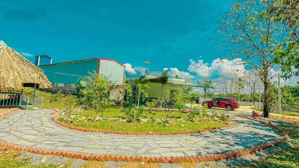 Chủ kẹt vốn trả ngân hàng bán gấp vườn tâm huyết diện tích 10,882m2 đã có sẵn 100m2 thổ cư