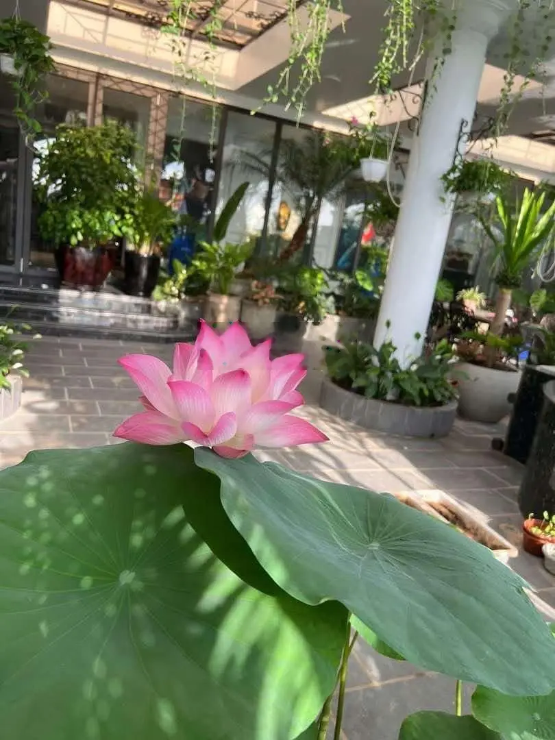 Bán penhouse minh khai, 560m2, 4/5 ngủ, hướng đông nam, bể bơi, view thành phố, siêu đẹp!