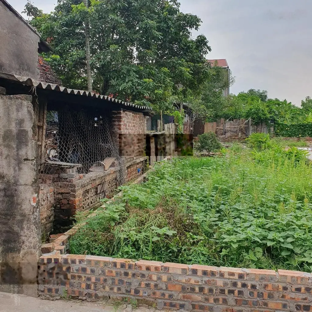Bán 98m2 đất - Lỗ Giao - Việt Hùng - Đông Anh - ngõ ô tô thông, ô tô vào đất, kinh doanh, đầu tư