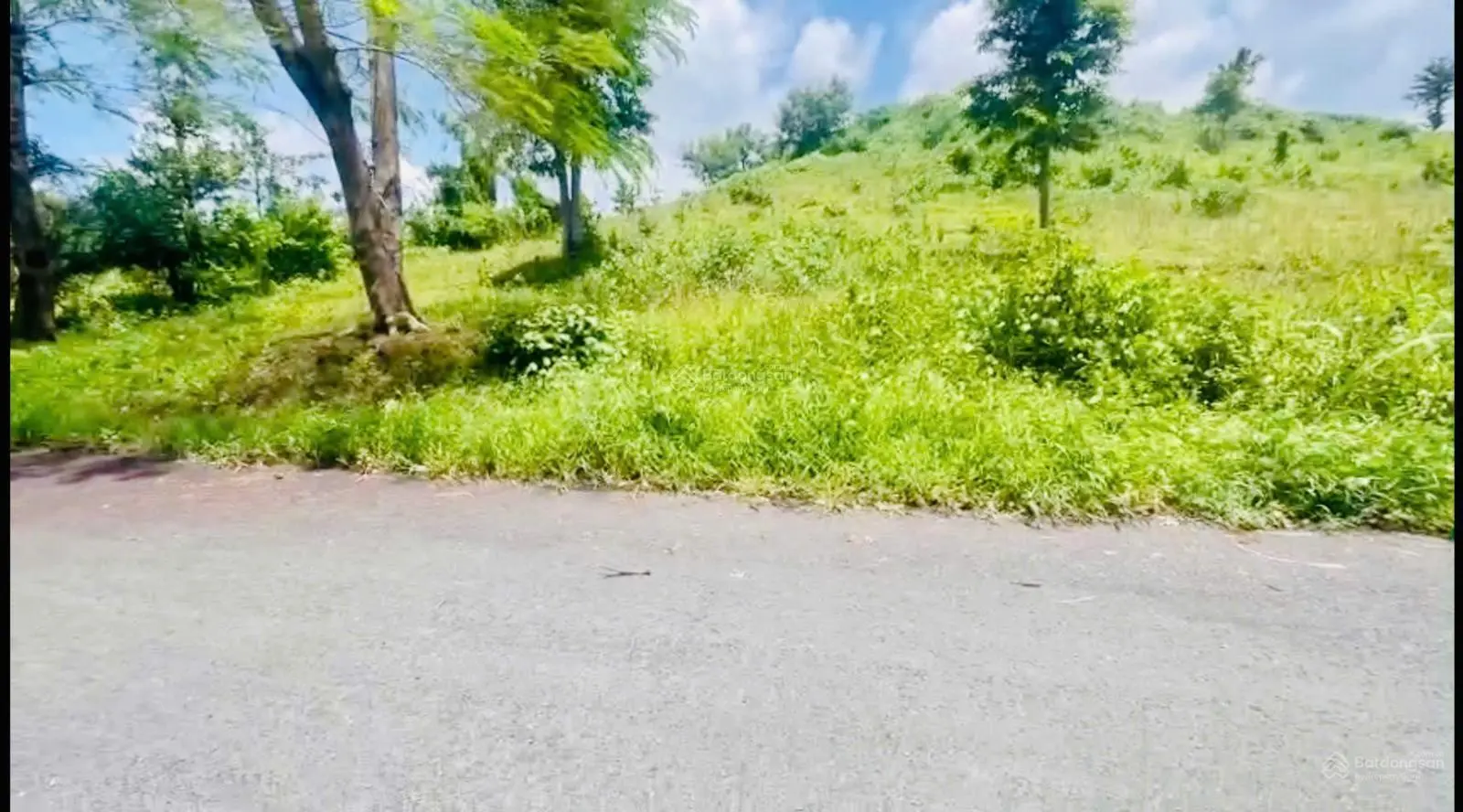 Cần bán 7.709m2 đất mặt tiền đường nhựa cách hồ Bà Tô 4km giá ngộp ngân hàng - LH: 0909 124 ***