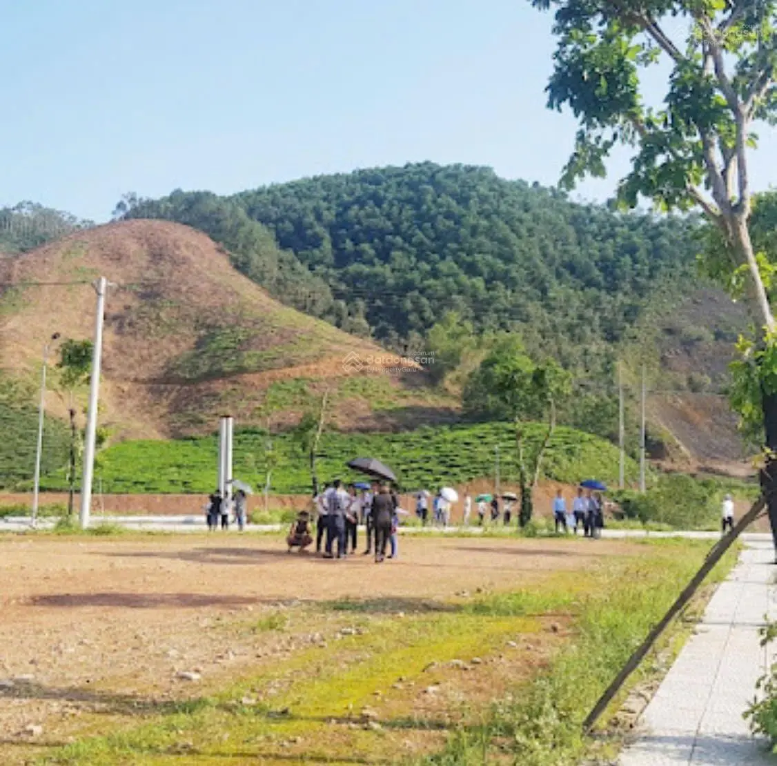 Có việc cần tiền bán nhanh mảnh đất Yên Lập Reverside giá nào cũng bán, bán nhanh trong tuần