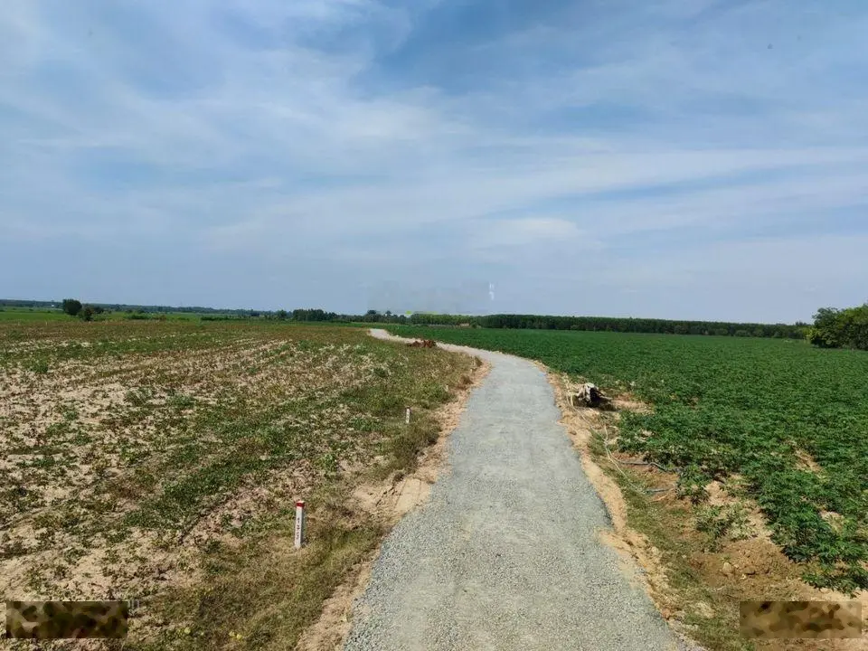 BÁN HƠN 13 CÔNG ĐẤT TẠI HÒA THẠNH - CHÂU THÀNH - TÂY NINH