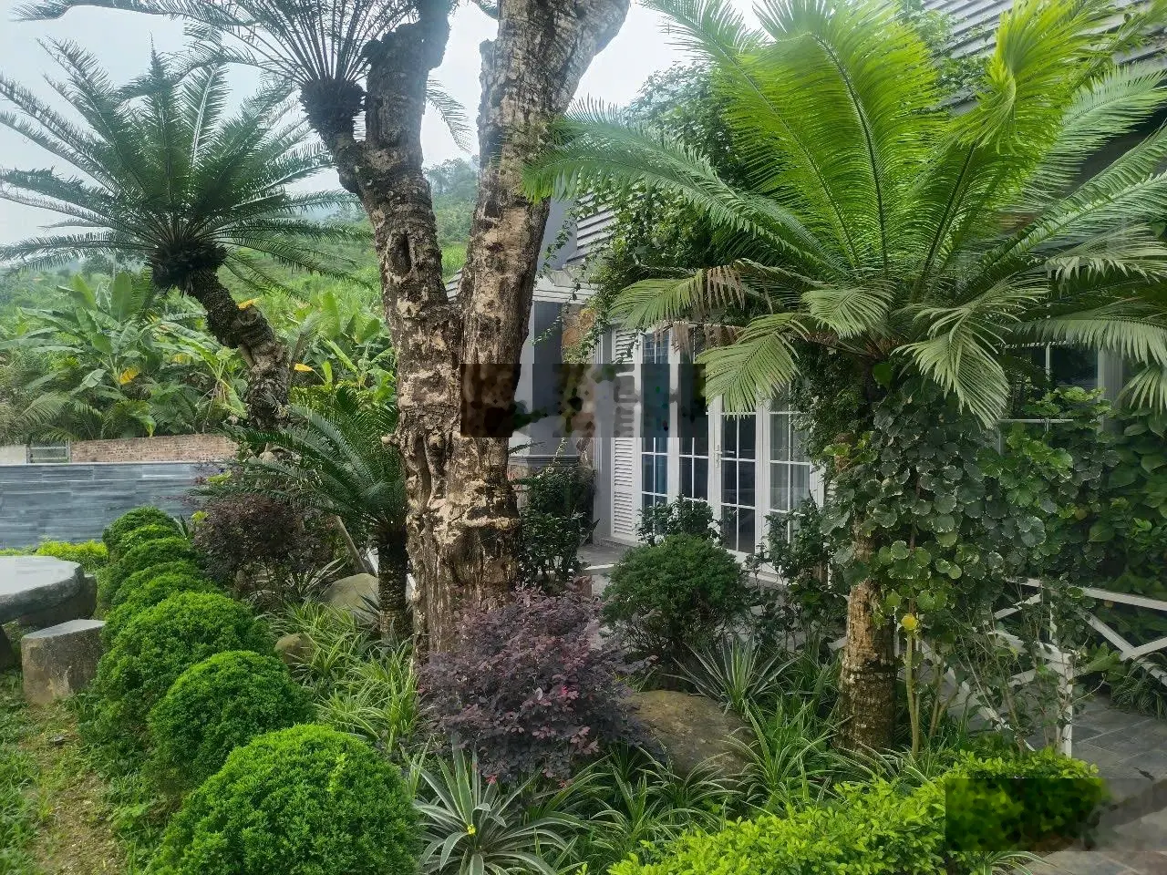 Bán Nhà Riêng tại Xã Phú Mãn, Quốc Oai, Hà Nội, giá ưu đãi 8,5 tỷ, 516,4 m2
