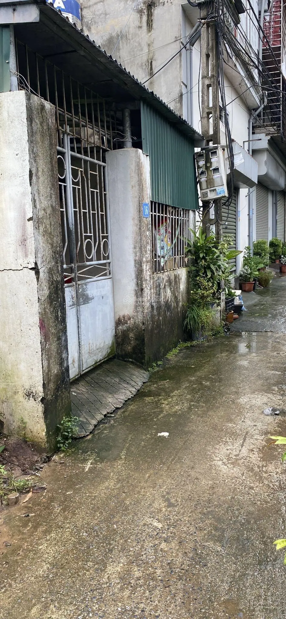 Lô góc siêu hiếm ,cự khối , sổ vuông vắn đẹp sẵn sàng sang tên.ngõ no
