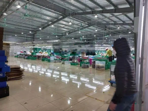 Chuyển nhượng nhà máy tại Nghĩa Hưng - Nam Định, diện tích đất 18860m2
