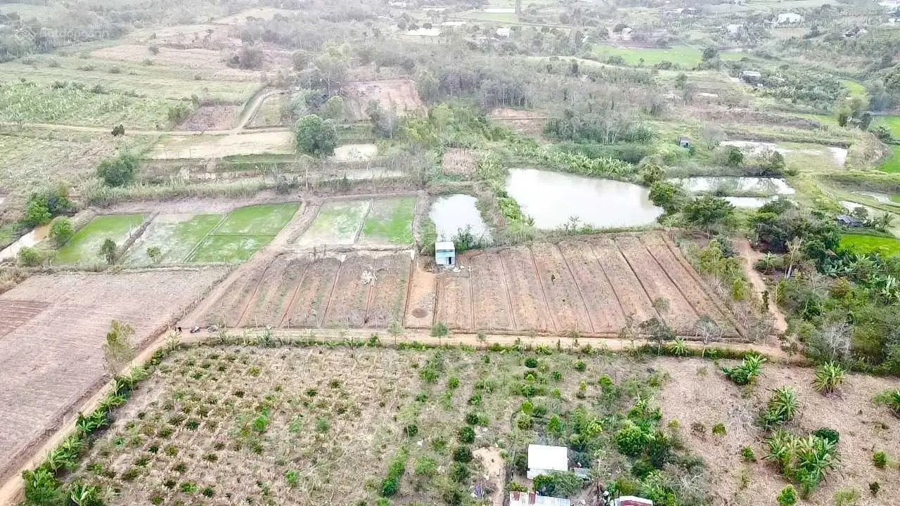 Bán sỉ 10 lô đất vị trí siêu đẹp thị trấn Ea Kar, cam kết giá tốt nhất