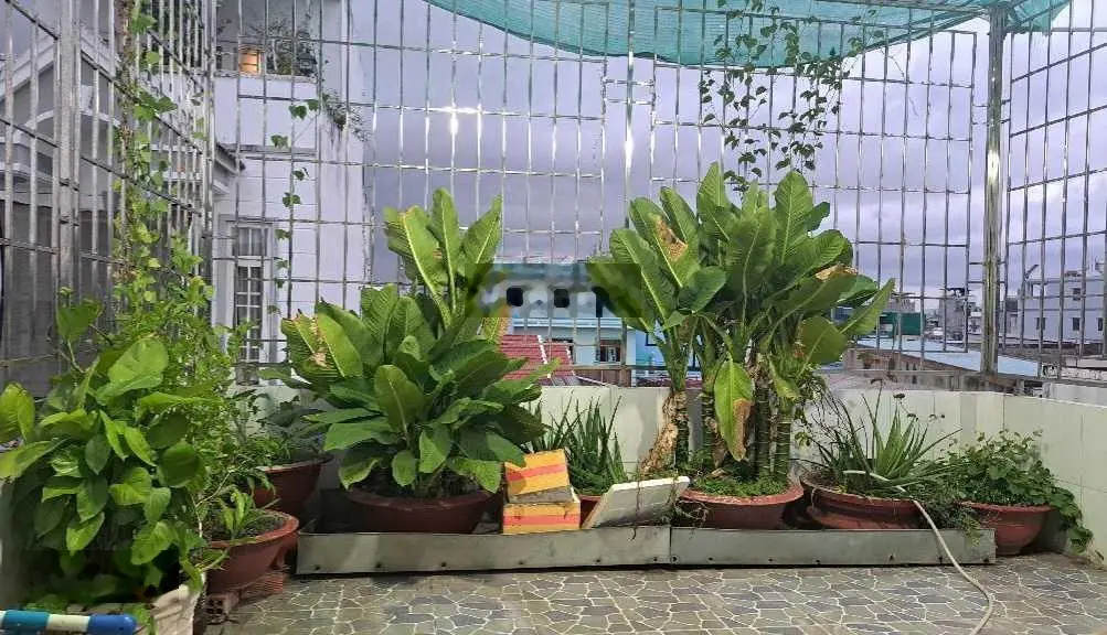 Mặt tiền kinh doanh Trương Phước Phan Bình Tân - 3 tầng - Ngang 5x22 - Nhỉnh 10 tỷ
