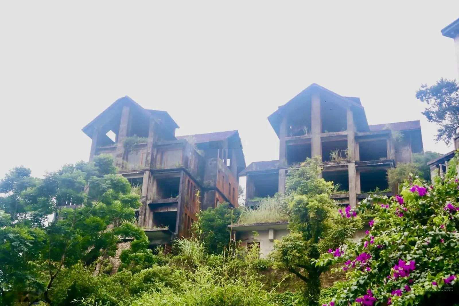 Gia đình tôi bán 7200m2 đất có suối trung tâm thị trấn Tam Đảo mặt đường 2B tặng 2 biệt thự 5 tầng