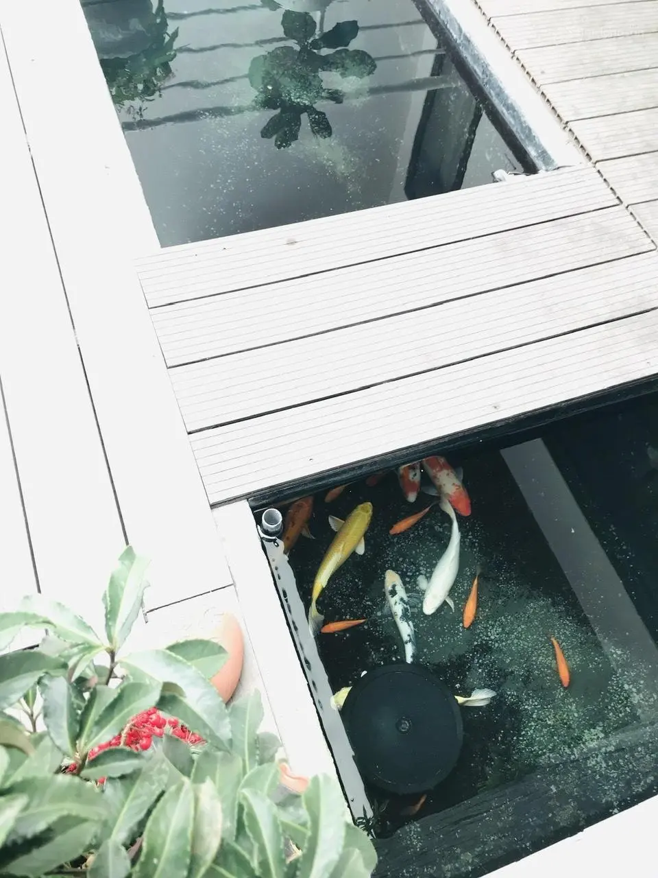 Bán nhà mặt phố tại Nam Trung Hành, Hải An, Hải Phòng, 7,7 tỷ, 93,28m2