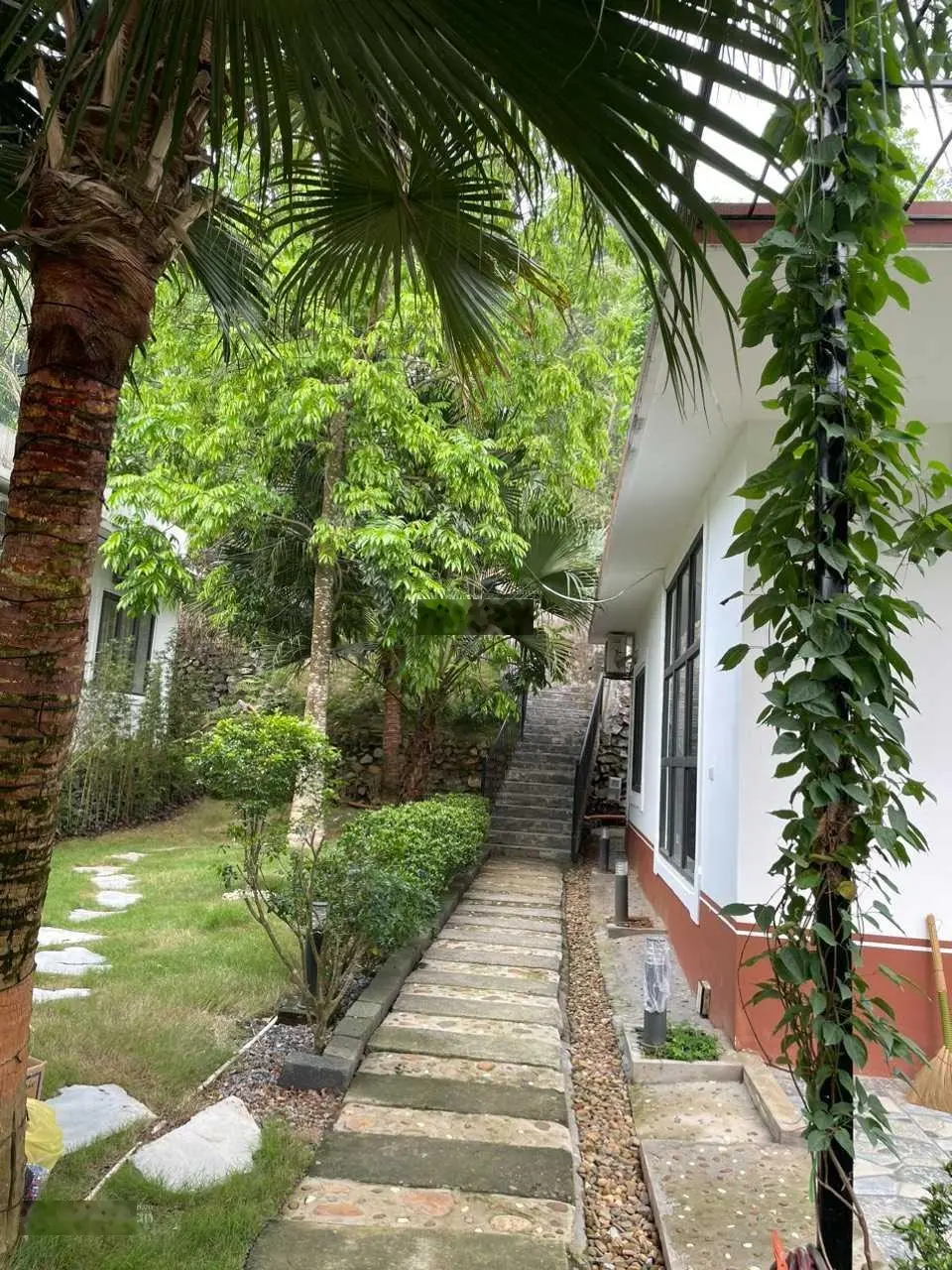 Chủ cần tiền cắt lỗ căn hơn 400m2 full nội thất đẹp nhất Lương Sơn giá rẻ ngã cây cắt lỗ trong tuần