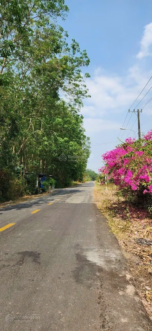 Mặt tiền kinh doanh, thổ cư, SHR, mặt tiền Bến Đình, Củ Chi