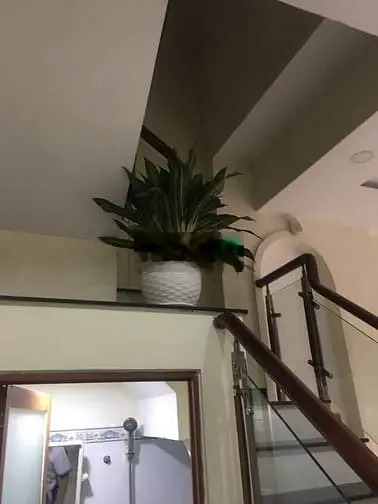 Bán Nhà lầu + phòng trọ , P.Tăng Nhơn Phú B, Quận 9 - 4 tỷ 950/ 81m2