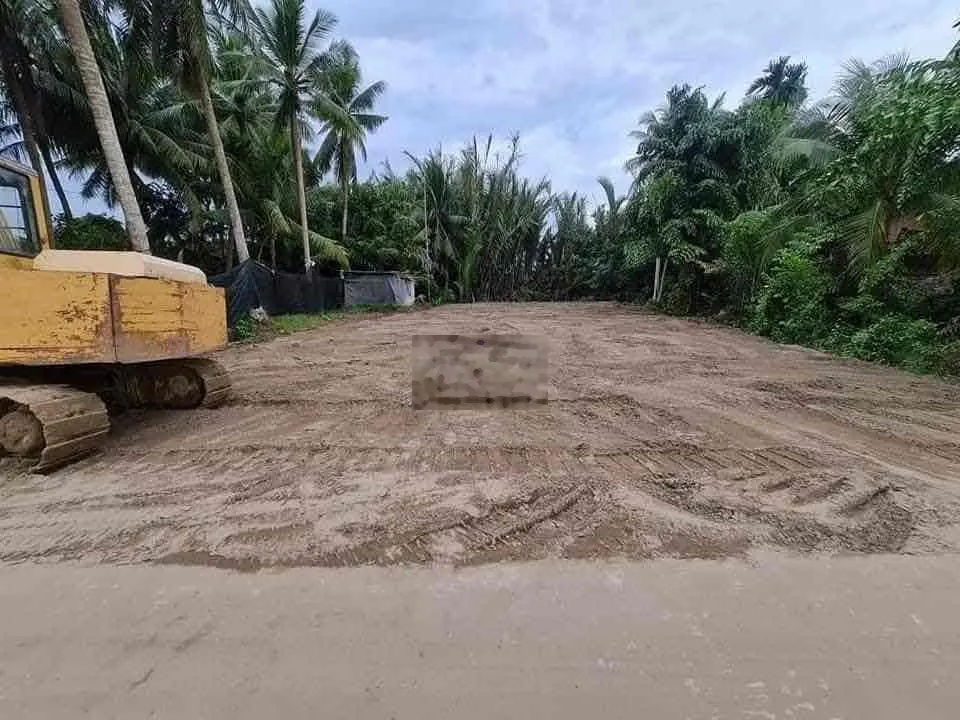 Bán đất thổ gần chợ Tầm Vu