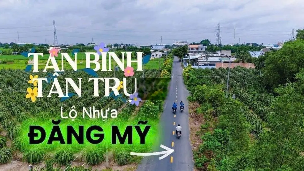 Bán 550 m2 Thổ cư tặng 1.000 m2 đất lúa đường nhựa Tân Trụ, Long an..