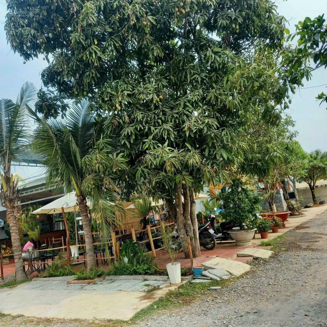 Cần bán gấp lô đất siêu đẹp giá rẻ