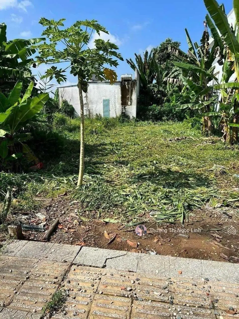 Không thể bỏ qua lô đất MT Phong Thới, gần UBND thị trấn Vũng Liêm, Vĩnh Long. DT 120m2. SHR