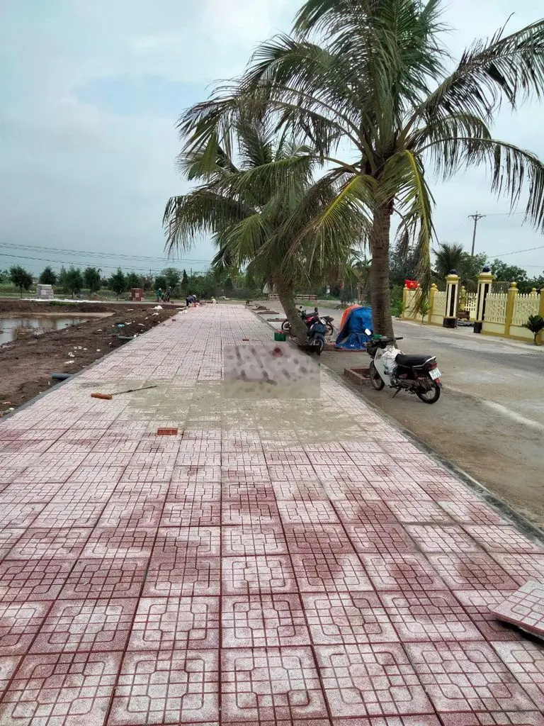 Chính chủ cần bán gấp 2 lô đất sát biển Quất Lâm, Nam Định