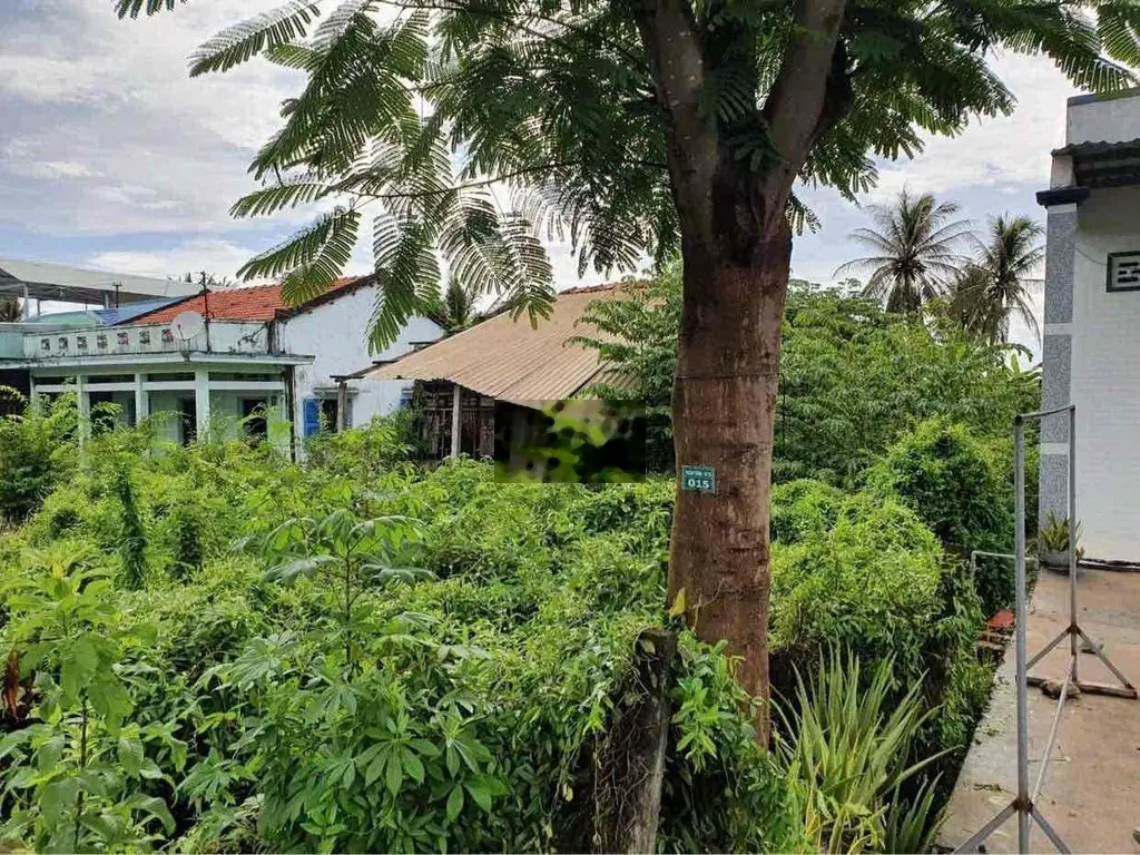 bán đất mặt