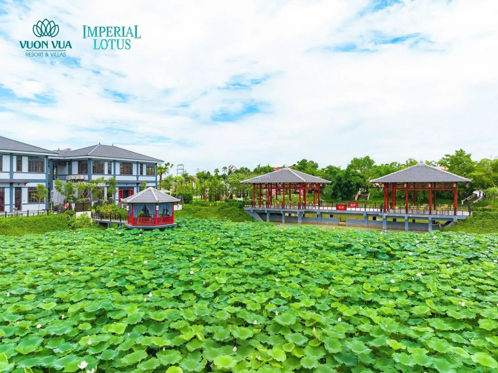 Bán Biệt thự Vườn vua Resort - Sẵn sổ - Oto đỗ cửa - khai thác dòng tiền 100tr/tháng
