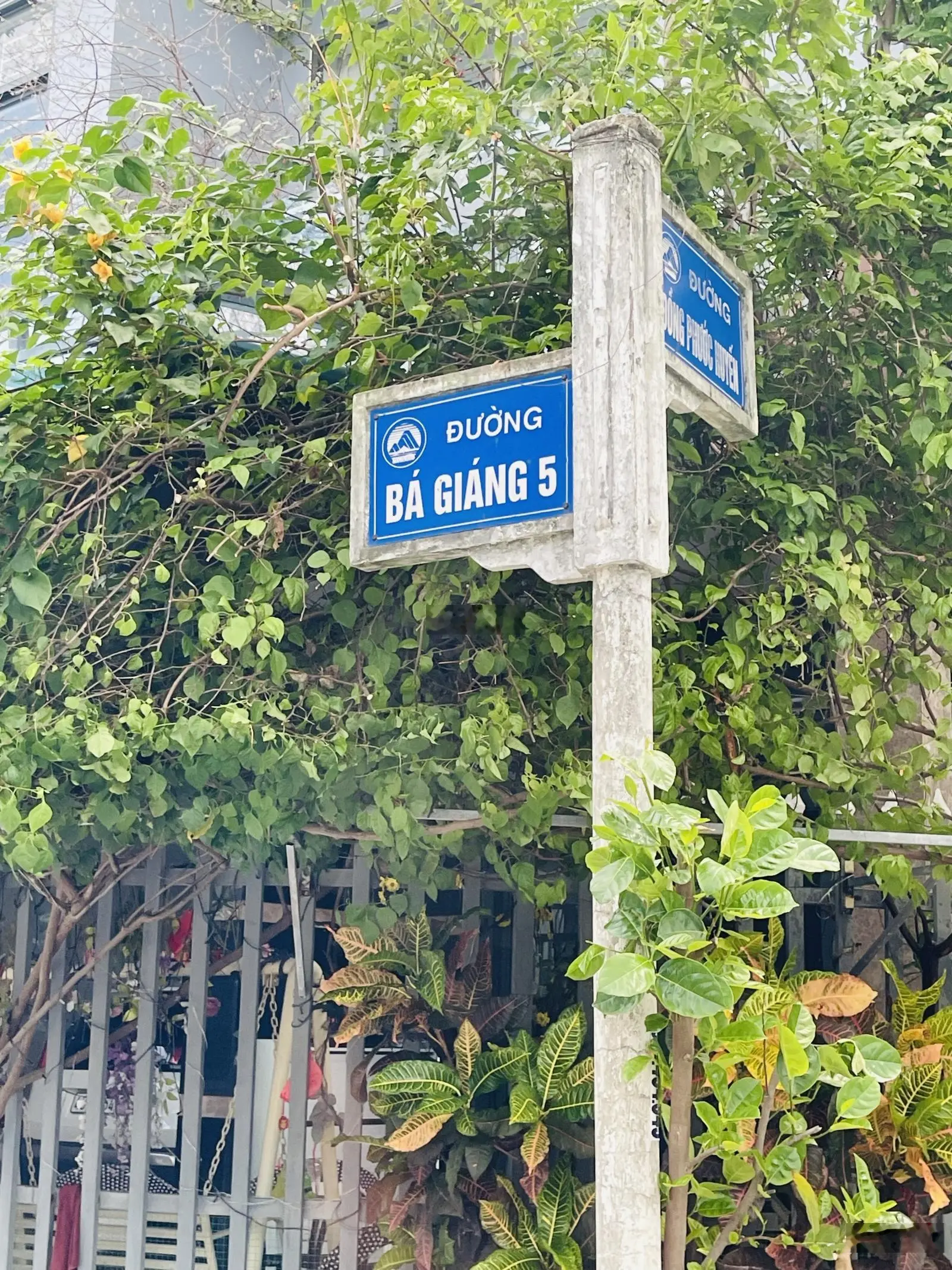 Bán đất giá 2,6 tỷ tại Đường Bá Giáng 5 .khu bá tùng hoà quý ngũ hành sơn đà nẵng