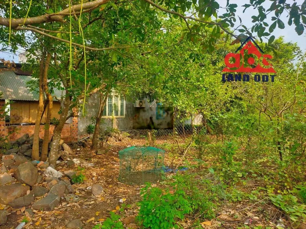 Nhà vườn sát bên kdl giang điền 1250m2, shr thổ cư. chỉ 3,2 tỷ