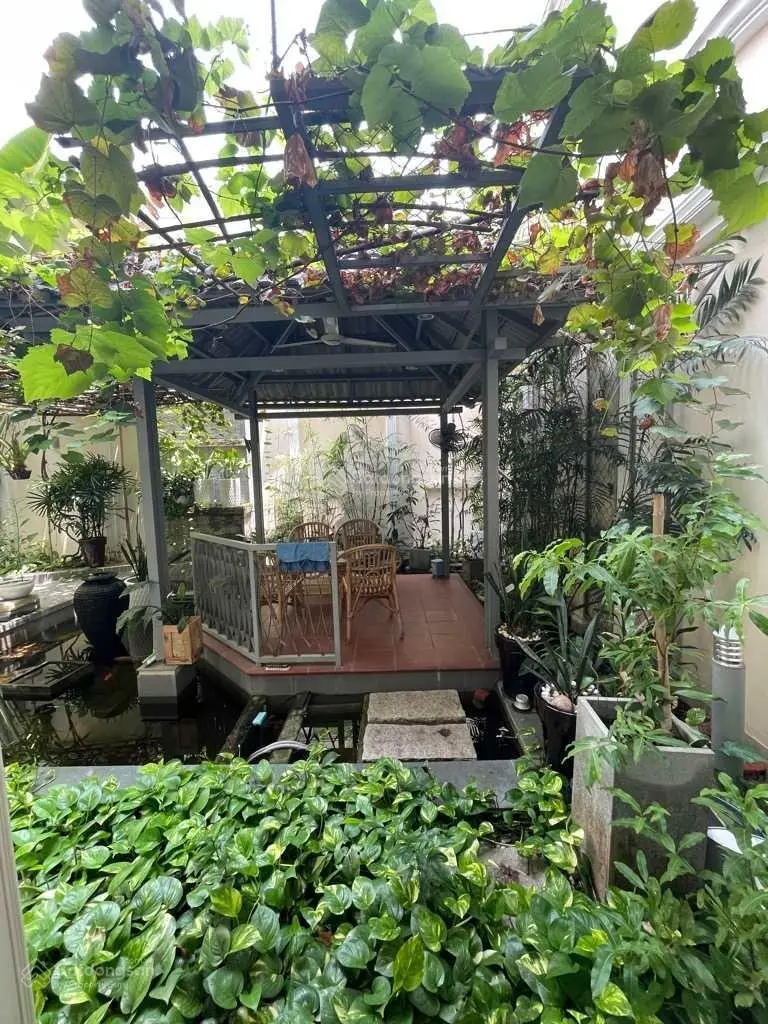 Biệt thự 5 tầng thang máy khu VIP Hồ Biểu Chánh 232m2