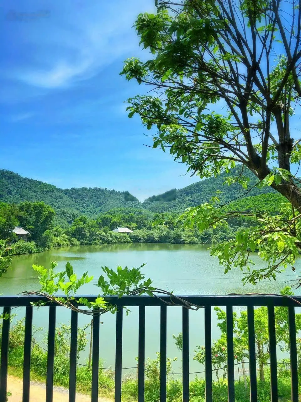 Bán villa Hồ Mây 300m2 trong dự án Thang Mây Village Resort